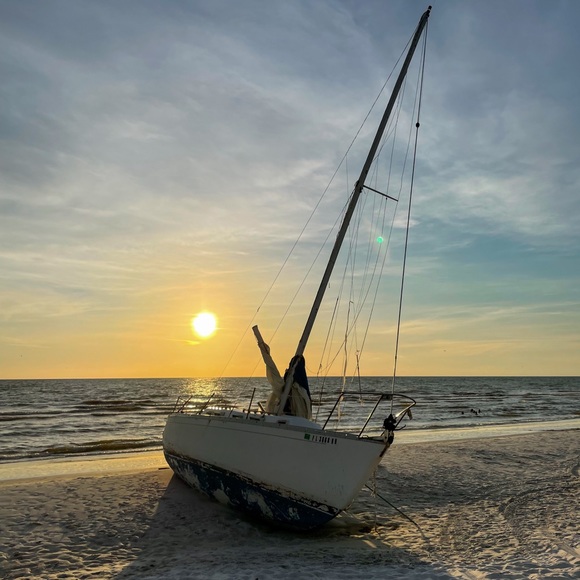 Meet your Posher, Maya - Picture 1 of 1